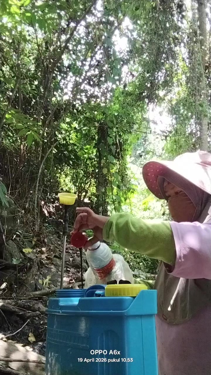 @MAMA ALMA