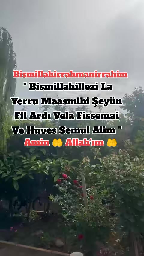 @papatyamm