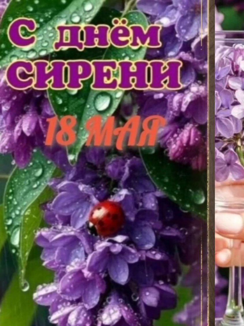 @Галина