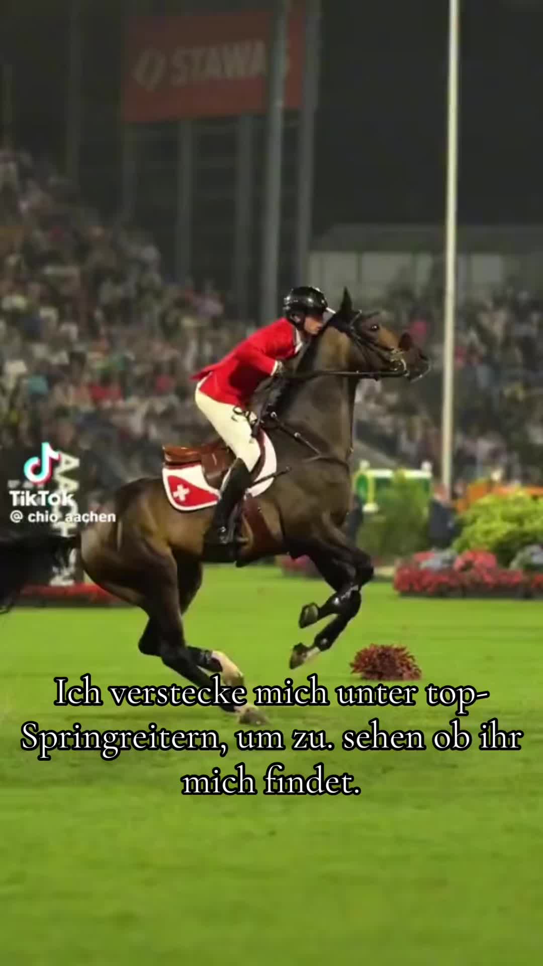 @Horses