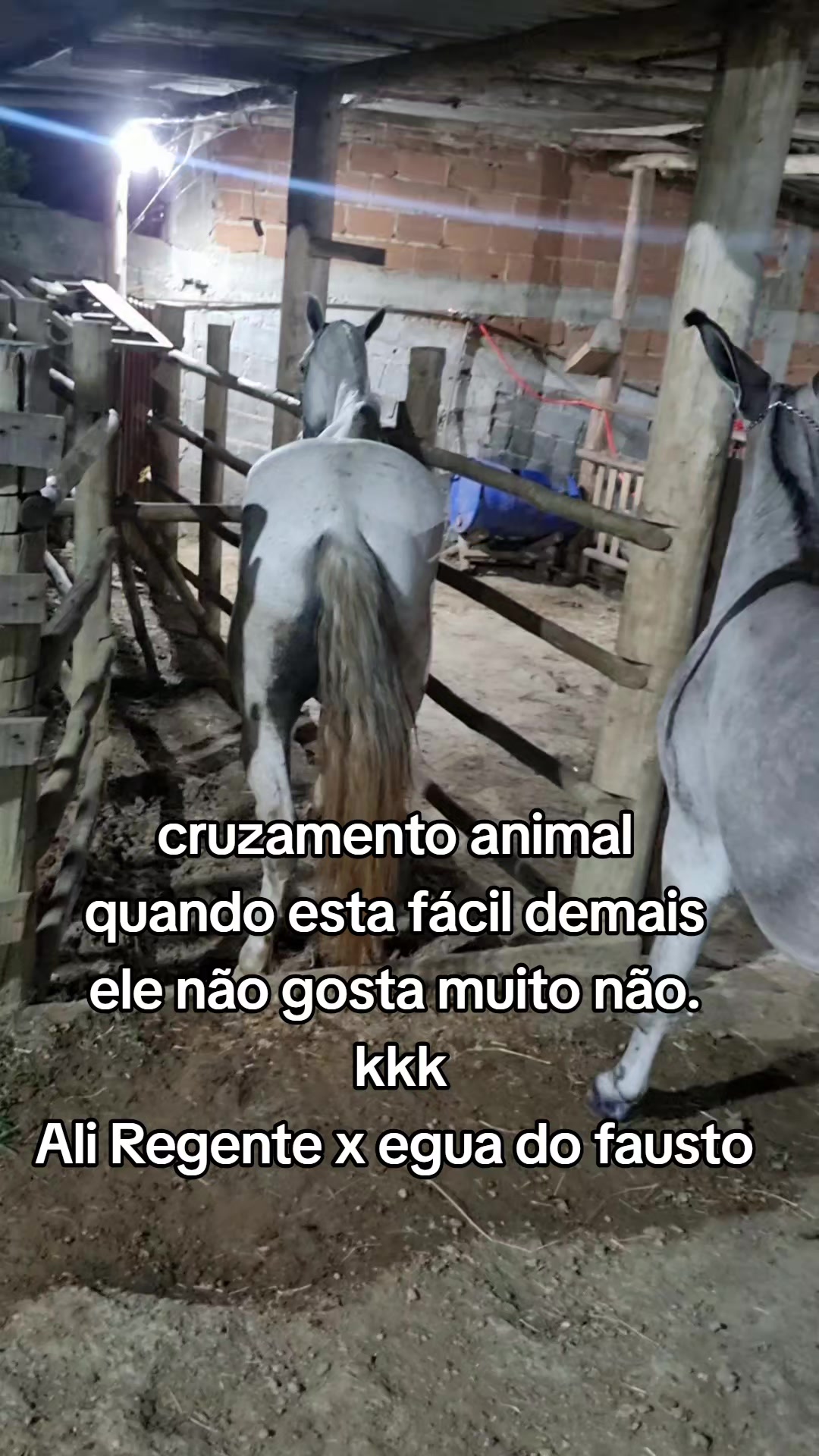 @claudenir Pereira Pinto