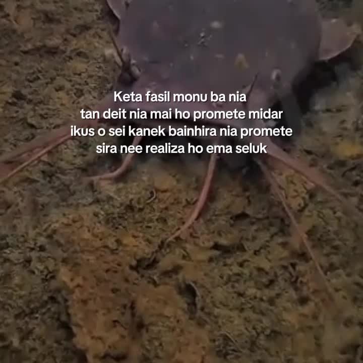 @sokka_kreator92