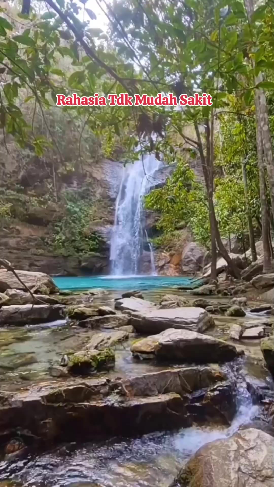 @Riri