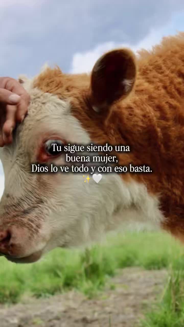 @🦁America Camargo 👑🇲🇽🥔🍟🌎