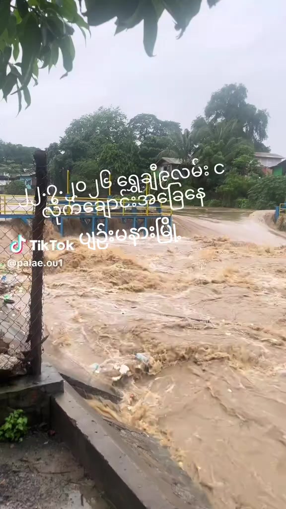 @Kaung Khant Hein (MSTN)