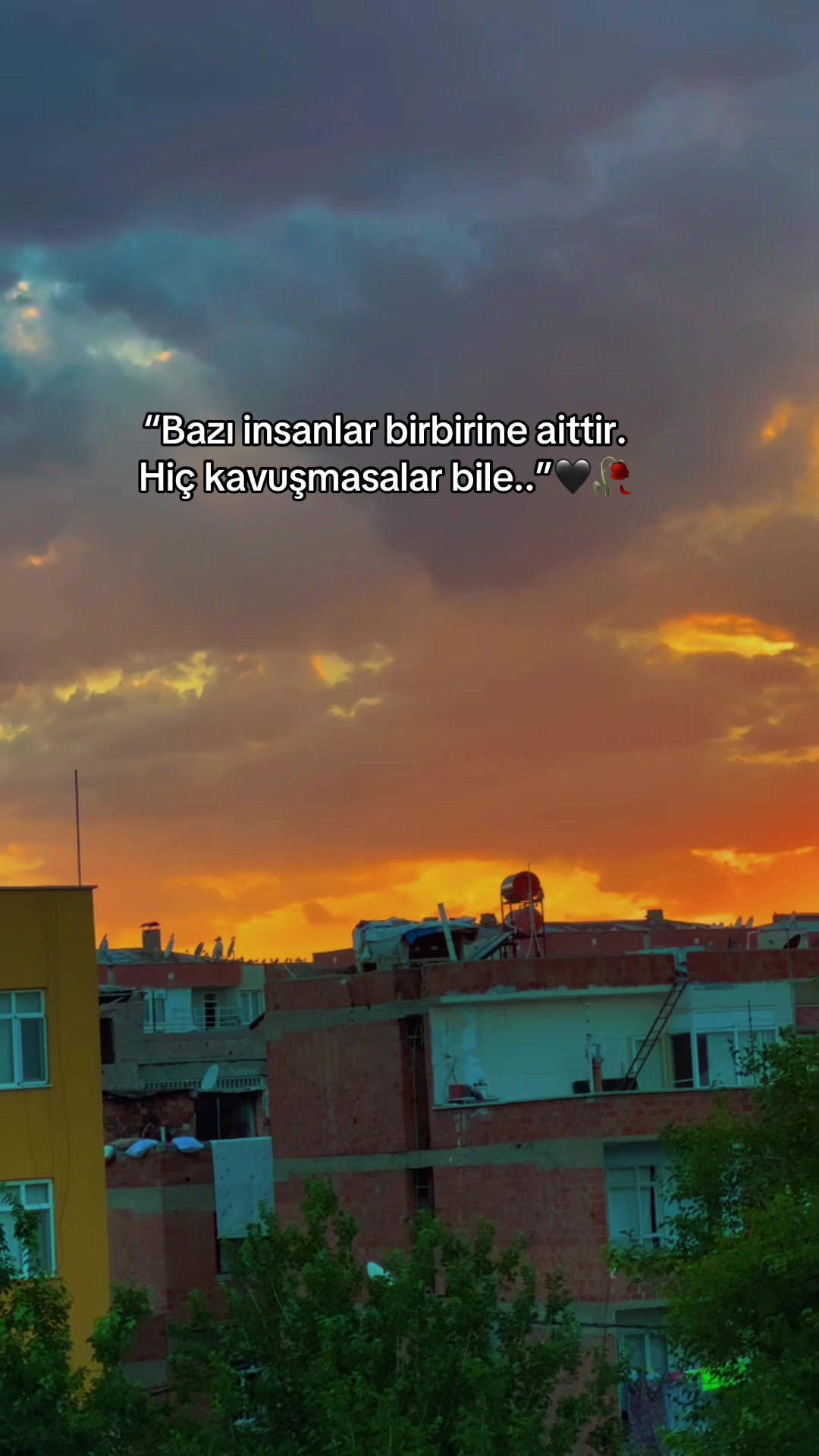 @𝗙.𝗖