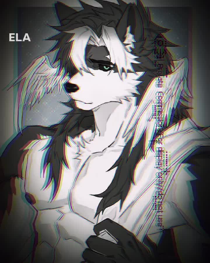 @“白泽”15(skeleton)