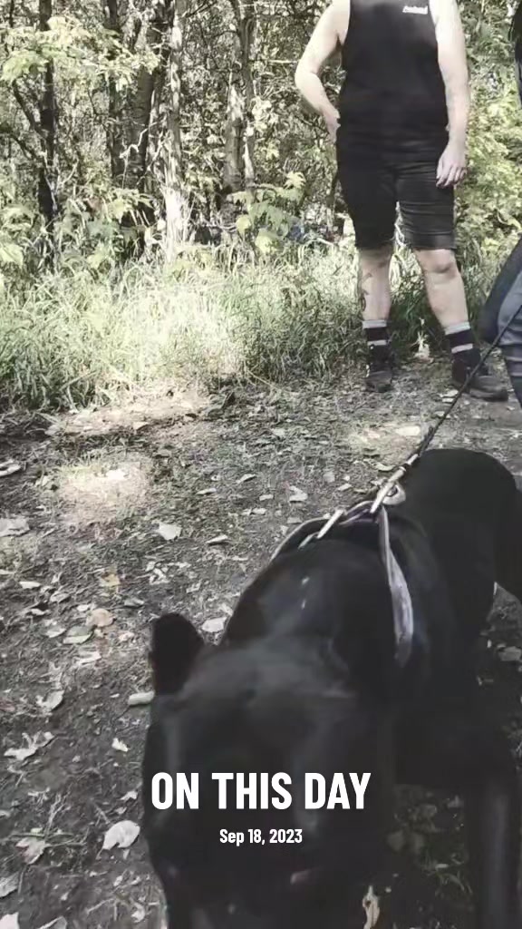 @RaisingHell.Hounds🇨🇦