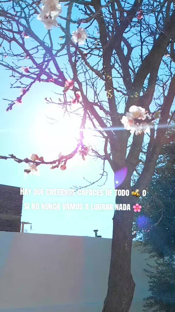 @Calu Abd&oacute;n Sosa