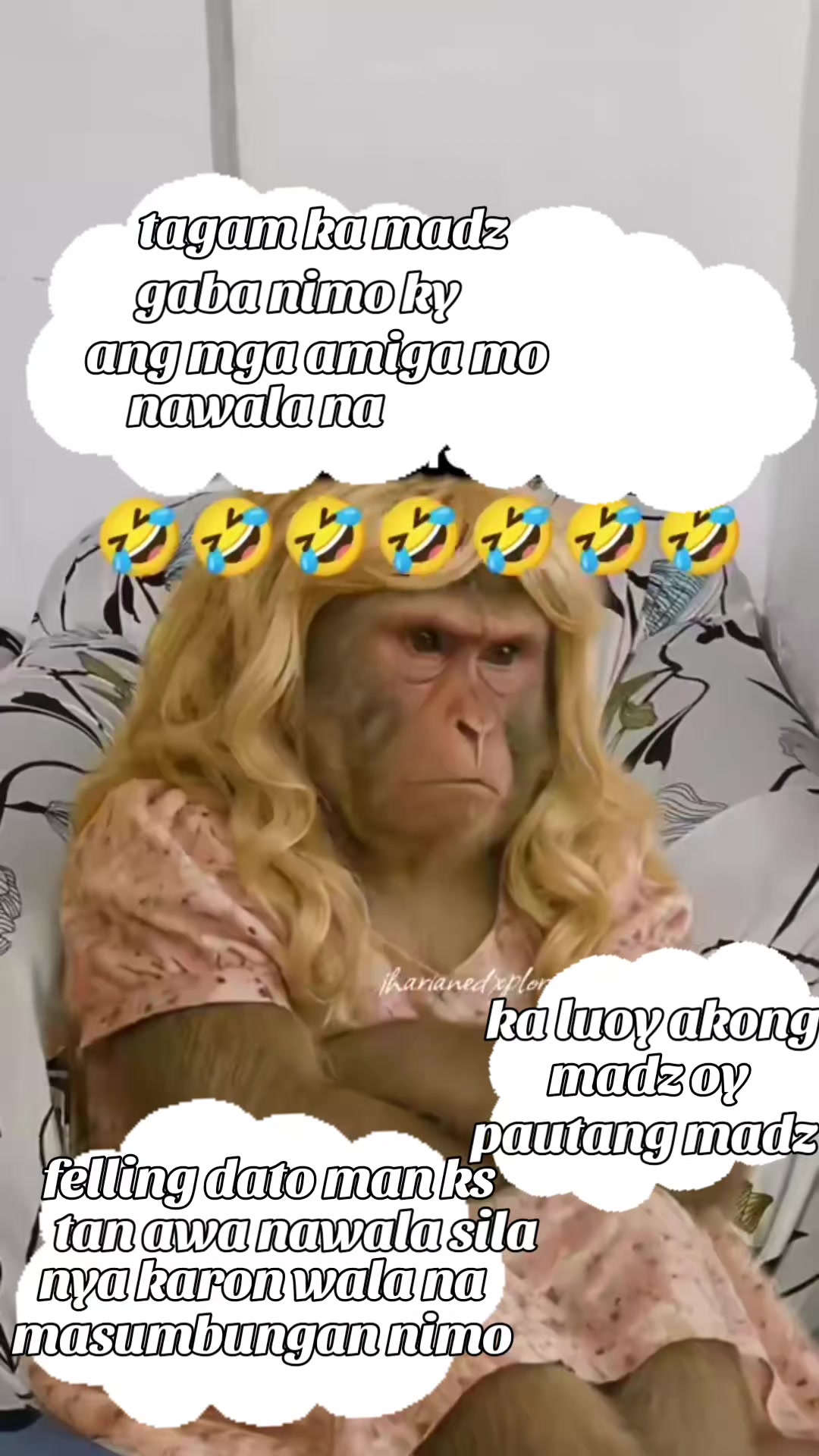 @lone girl 223