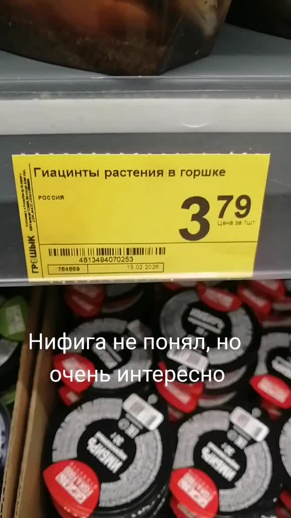 @Solovei784
