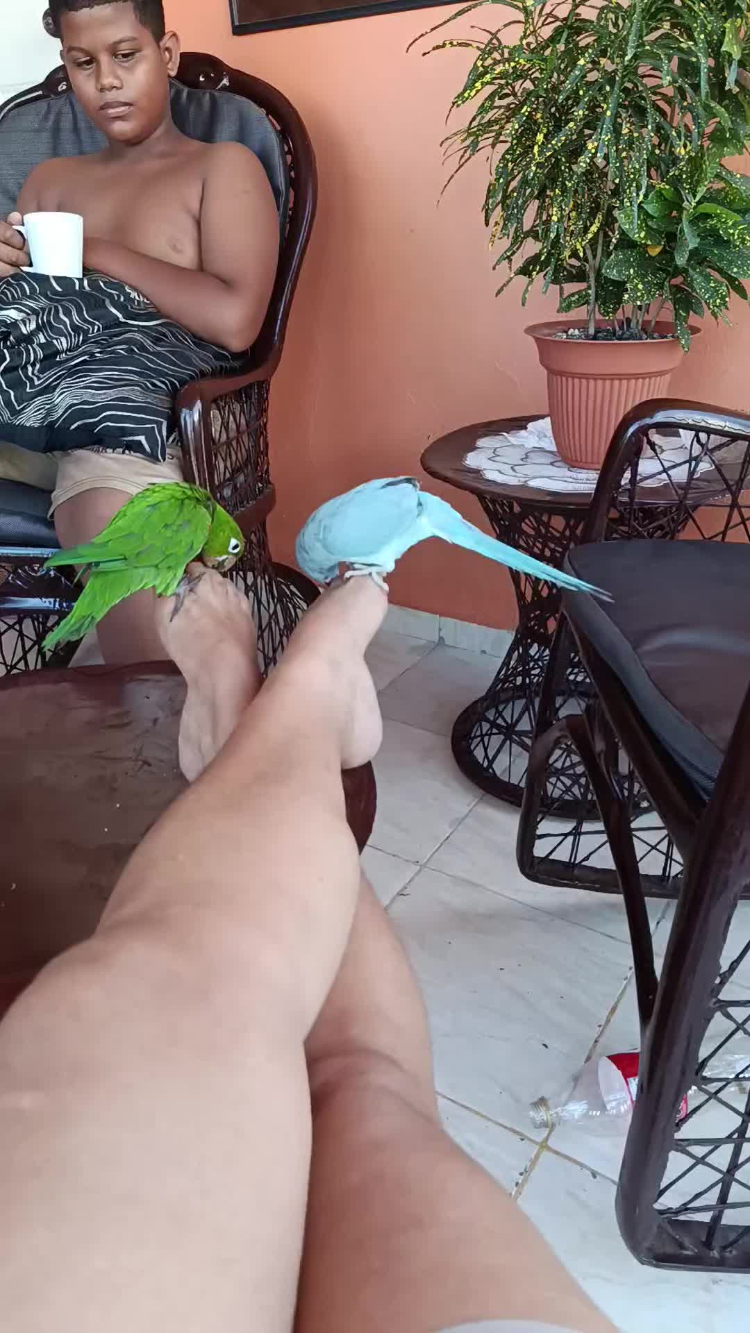 @Alison
