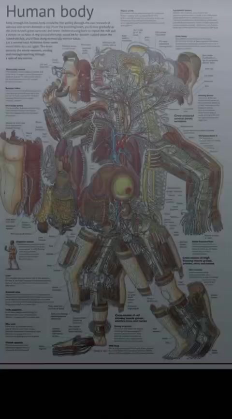 @boru simanjuntak ๐ฉโ๐ฉบ