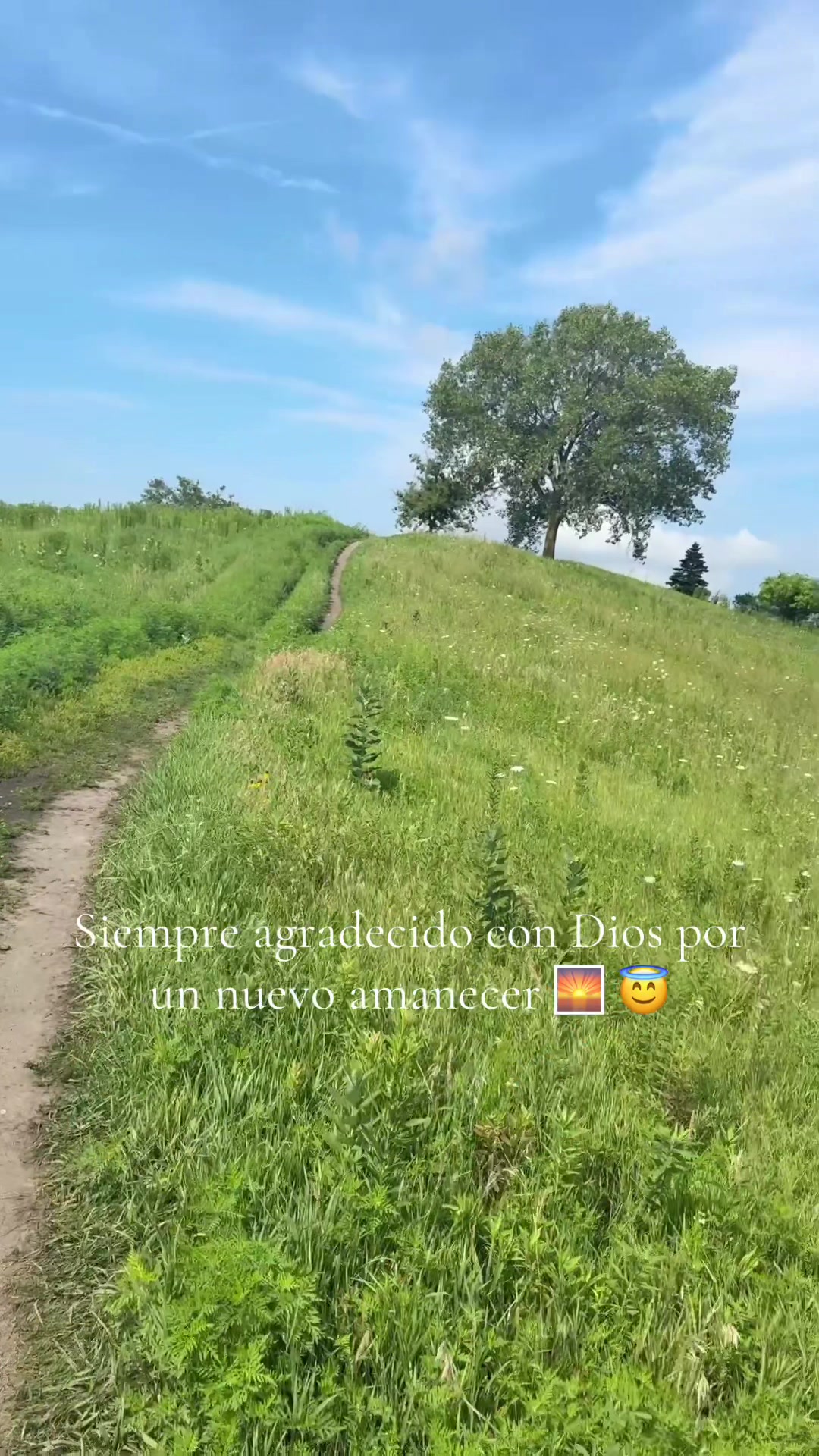 @Ojitos