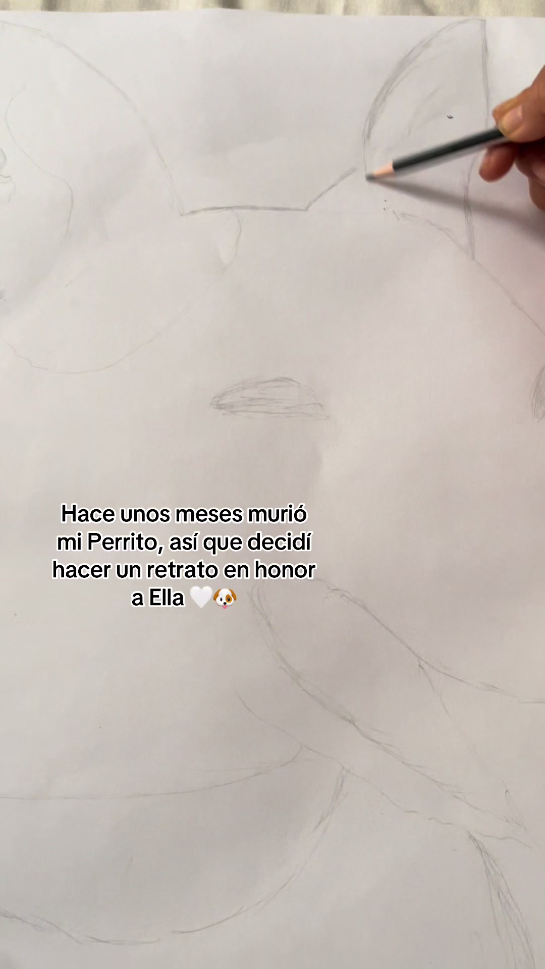 @Kory Duran