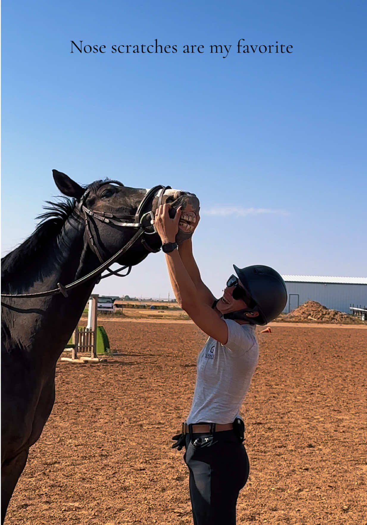 @Grace Equestrian TX