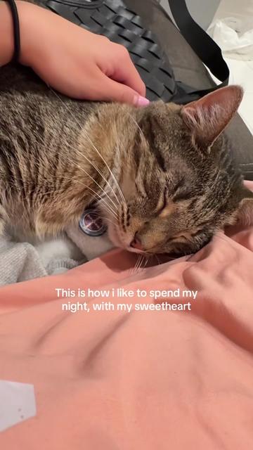 @Sarah