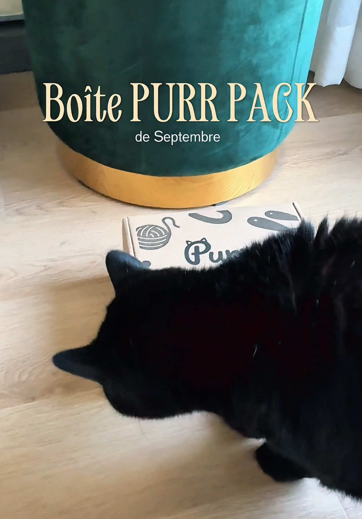 @Emily 🇨🇦 Créatrice Taille +