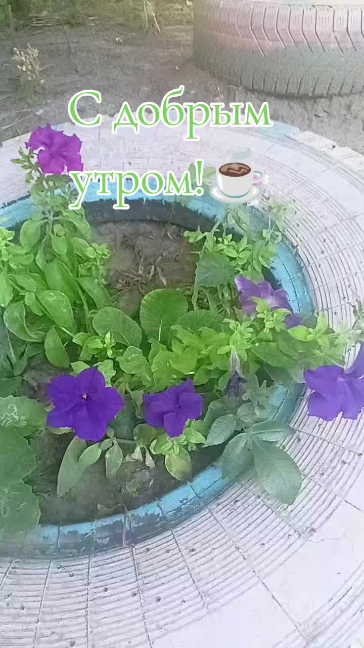 @ira.kos62