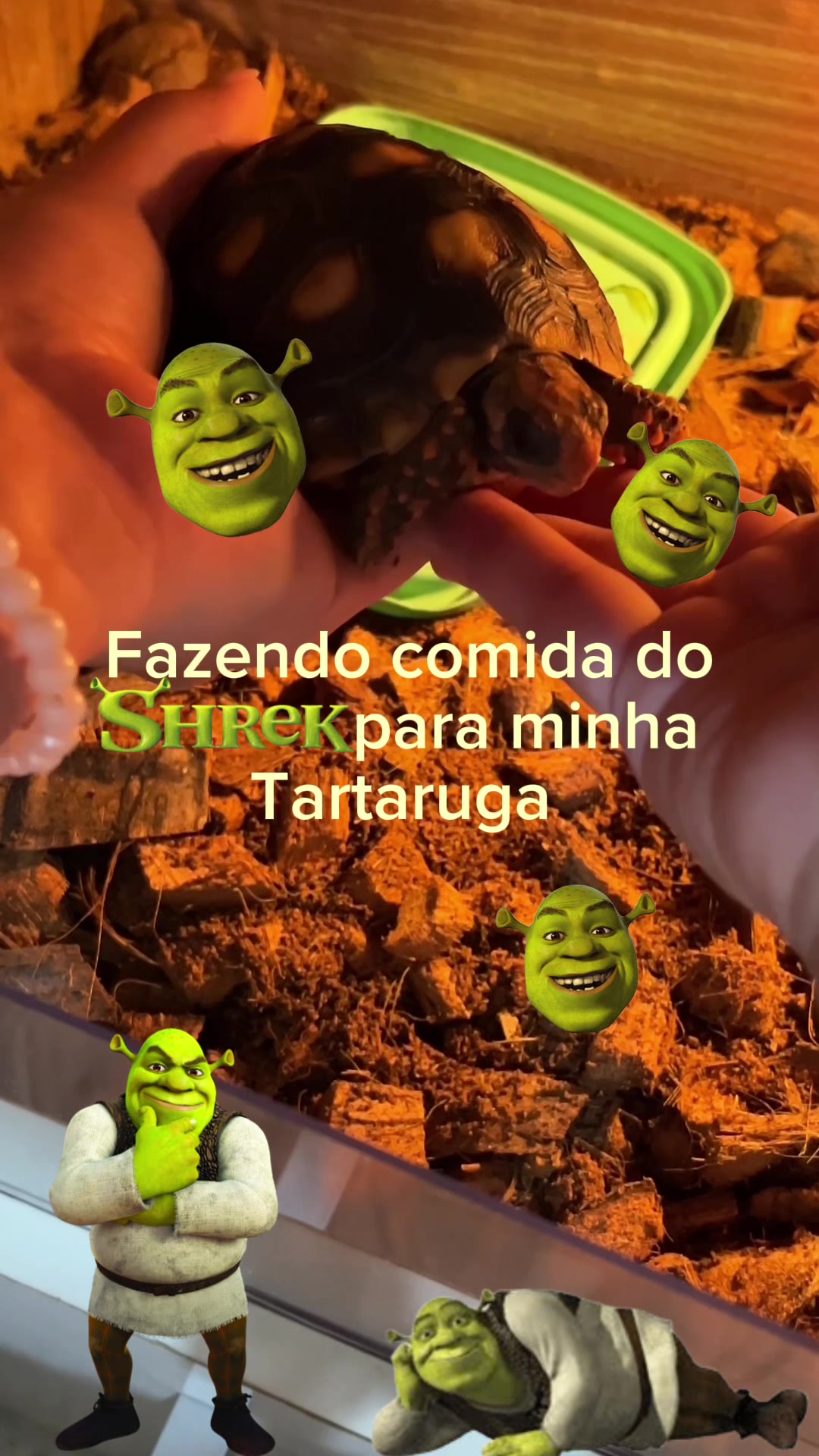 @Eve🥕
