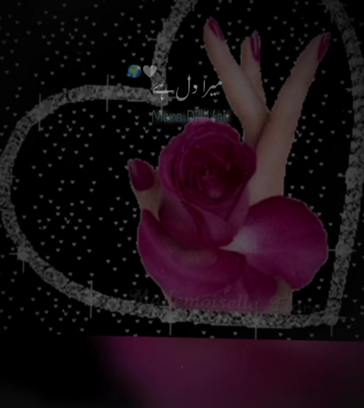 @Noor