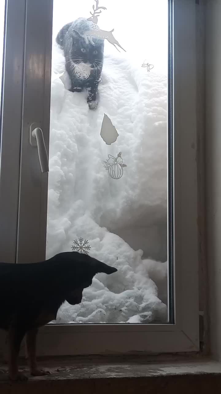 @Артурыч
