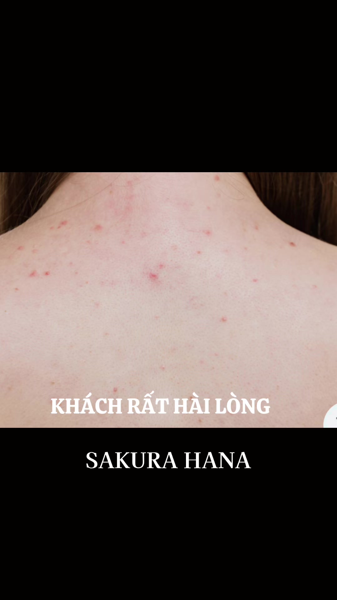 @Sakura Hana