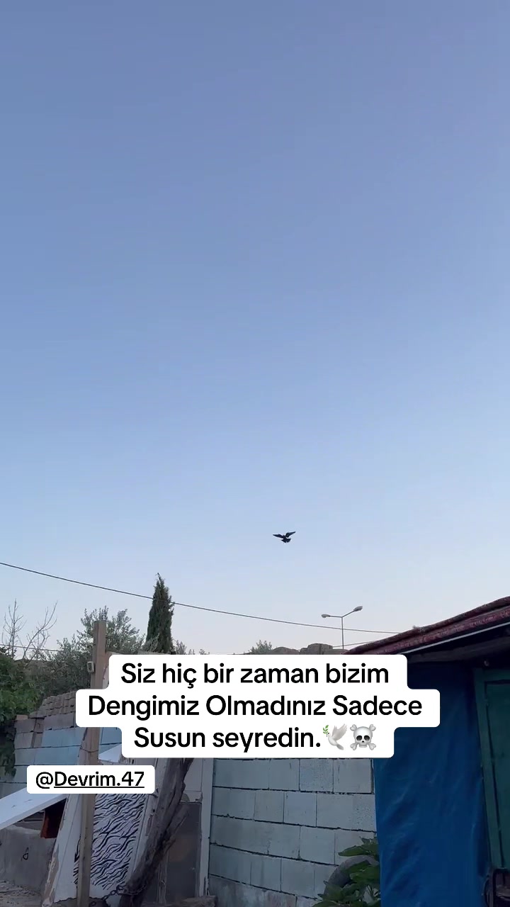 @memedo47