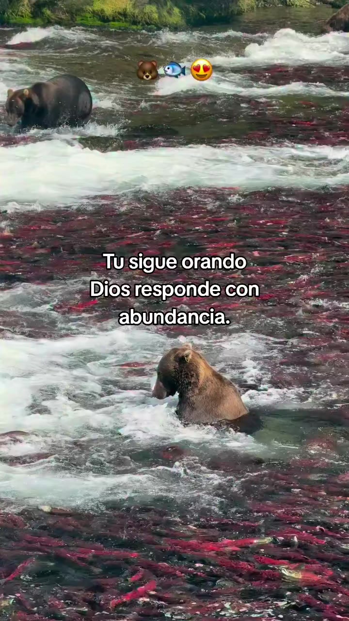@NyxcSam