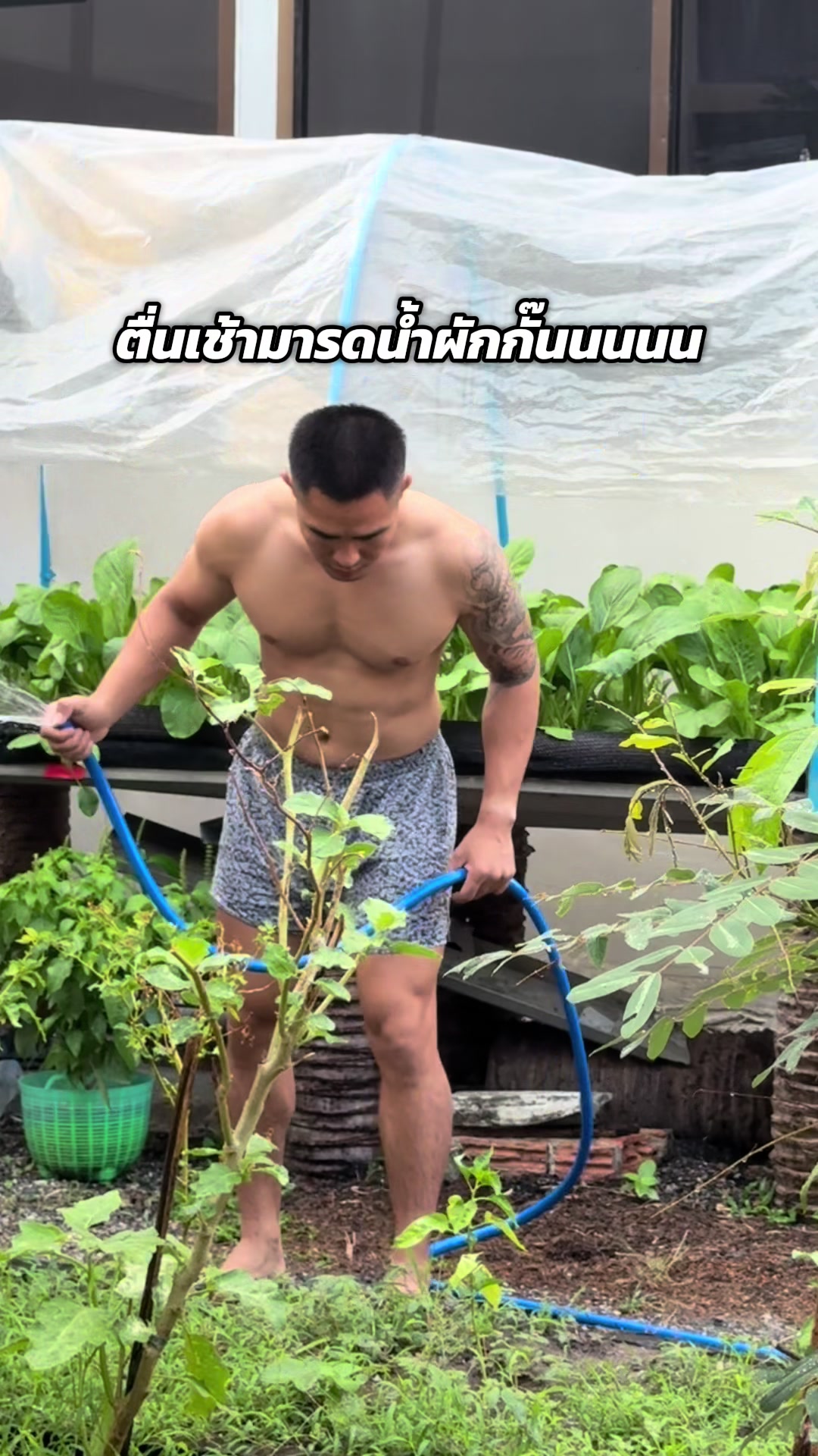 @Choak