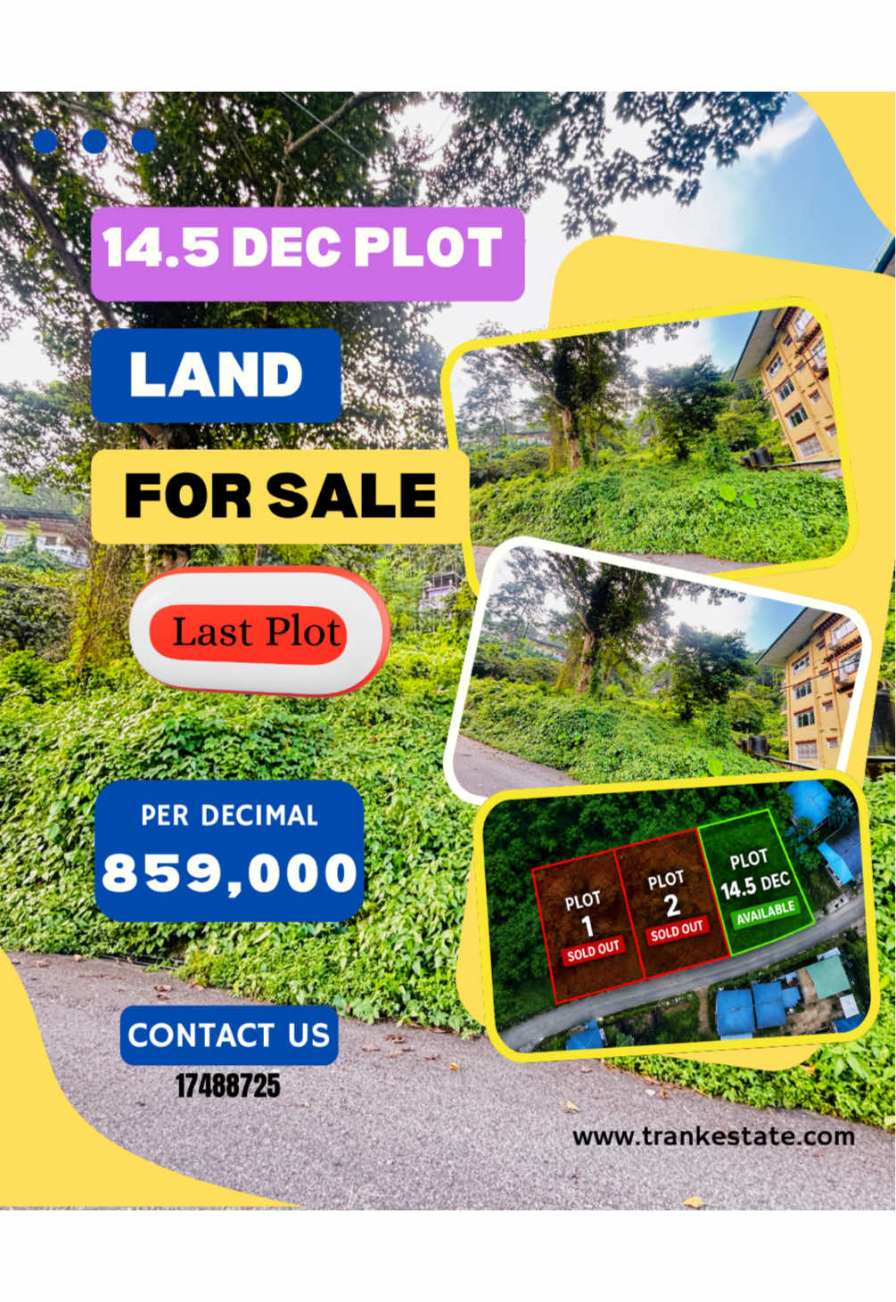 @T-Rank Estate