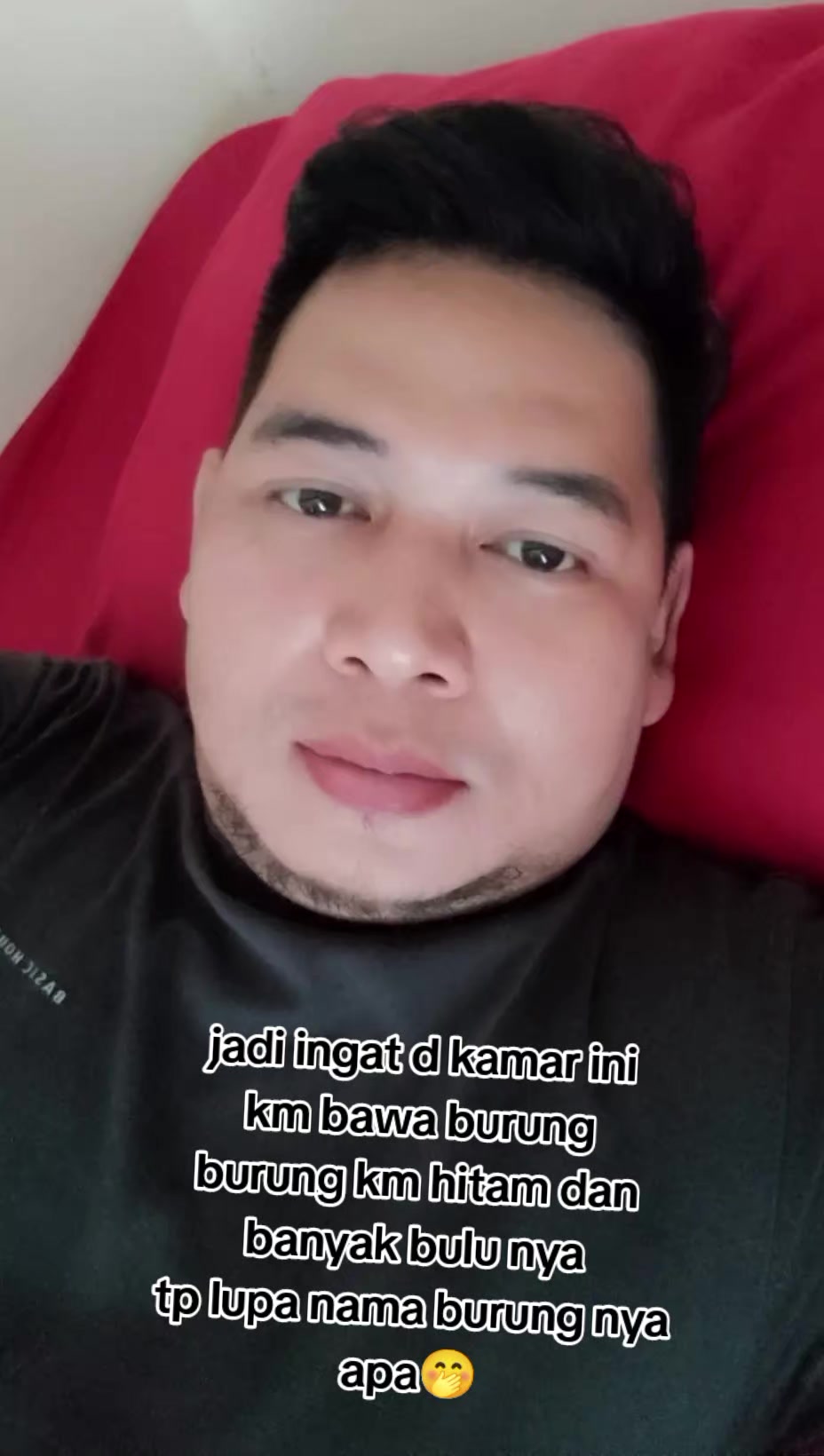 @ferdy