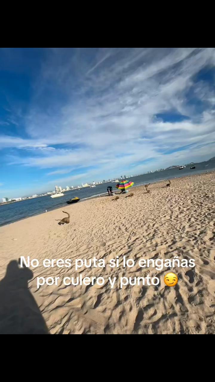 @Fer Sierra