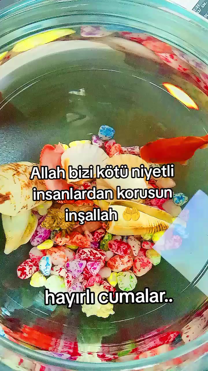 @🤍72sinem72🤍