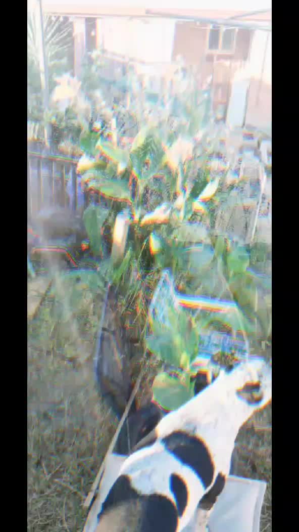 @Uthinkithot_Capcut organic