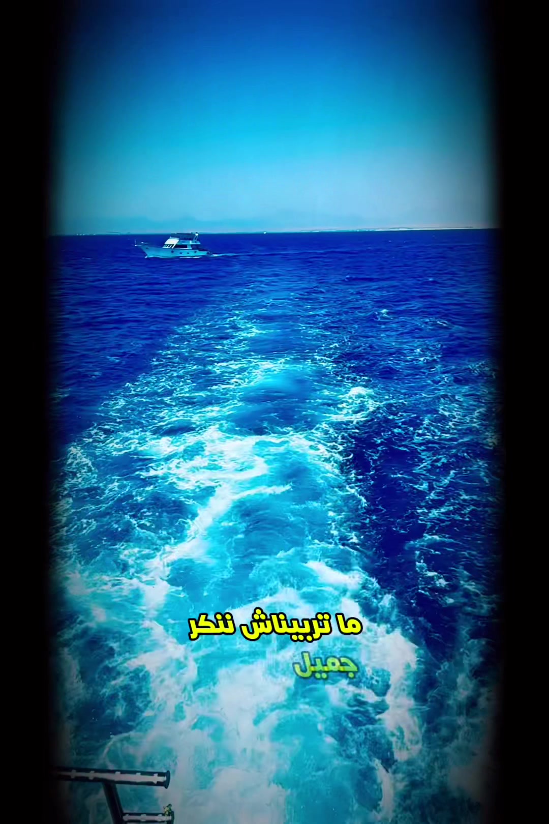 @Sambo  🩵🇪🇬