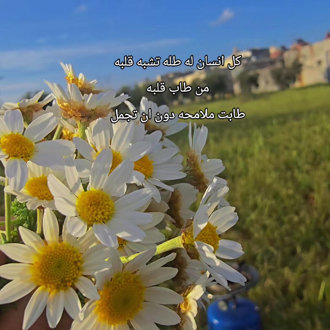 @جوى الروح🦋✨