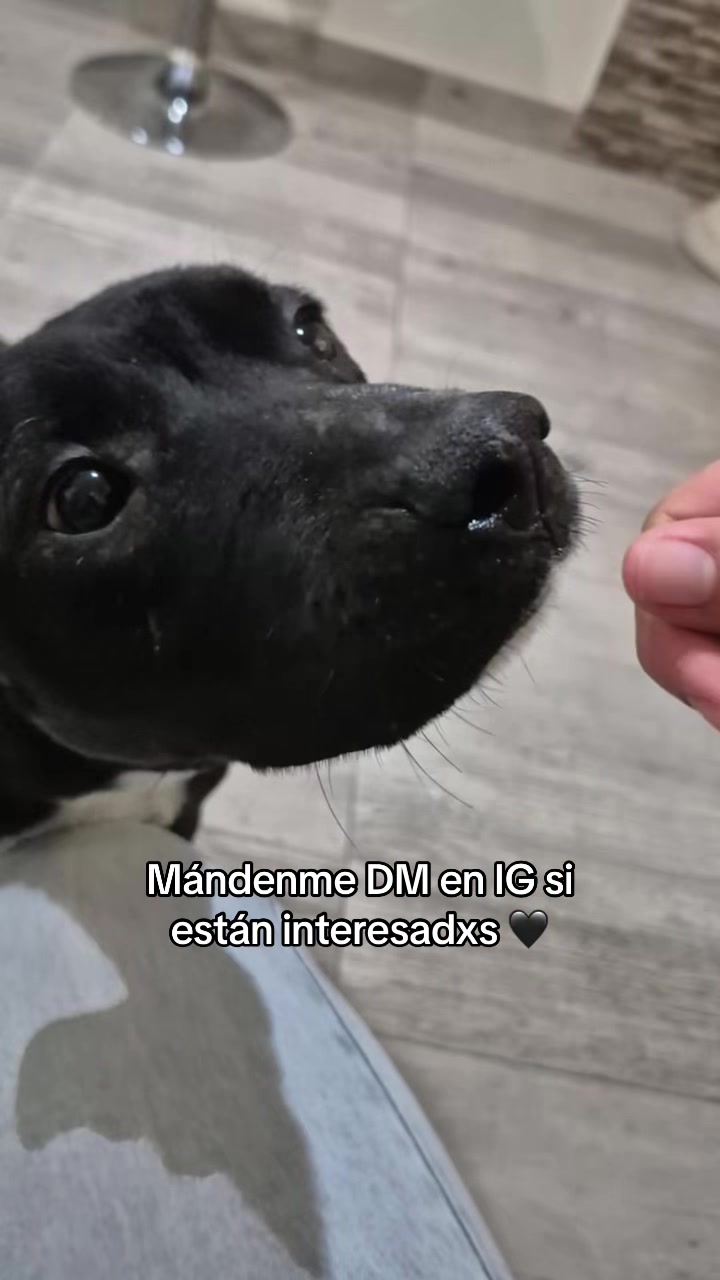 @Nanu