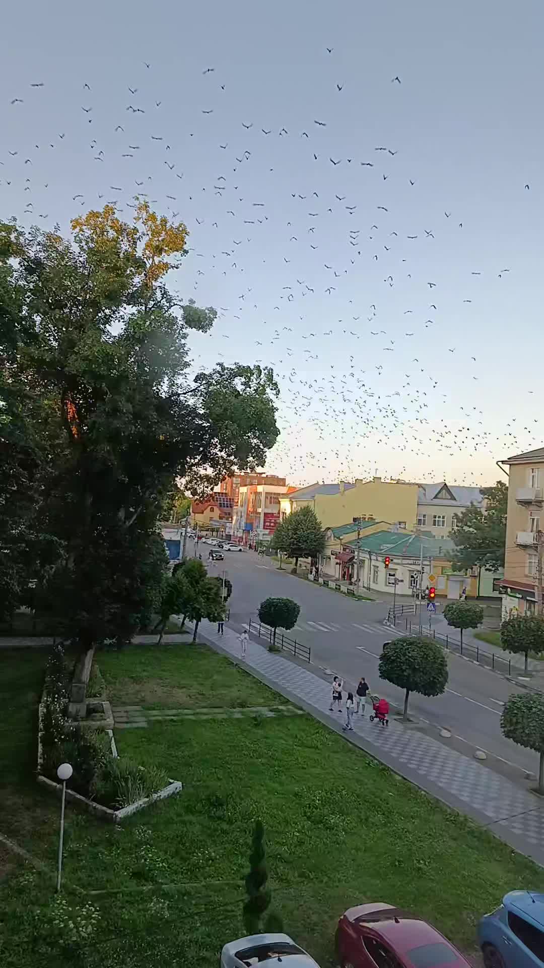 @Софія Яців
