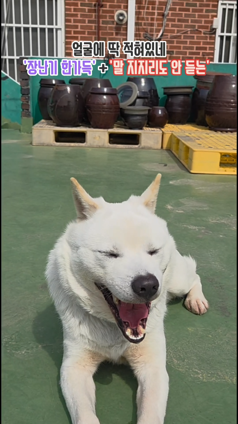 @BOK GIL