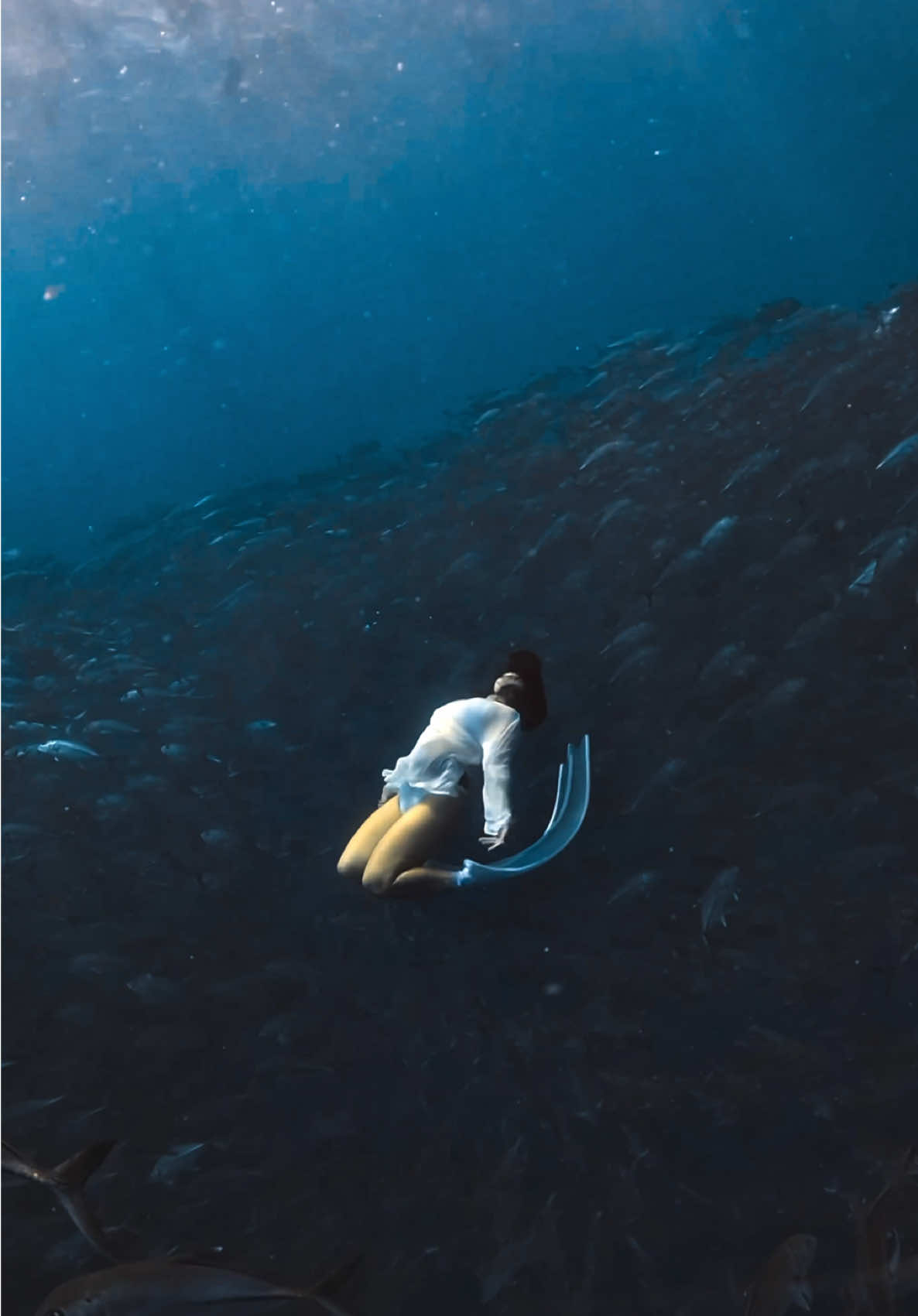 @divewith_eyJ