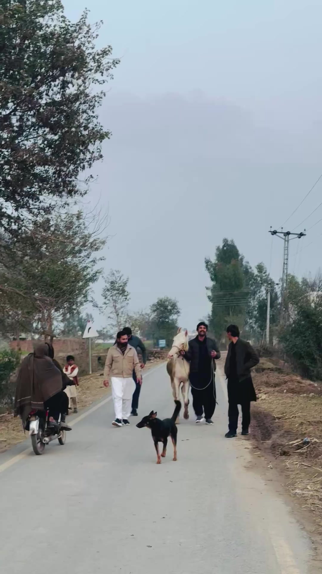 @🍁حسنین تاجےکا