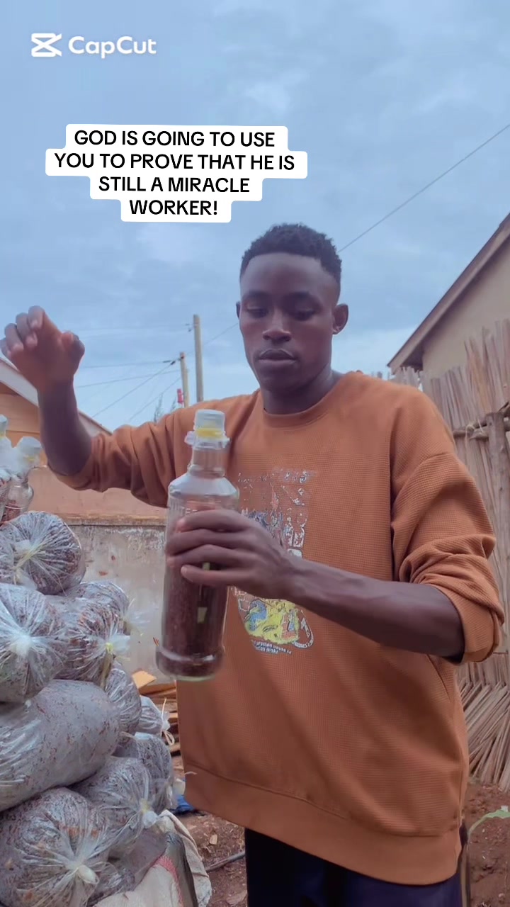@BLESSED AGRICULTURAL MUSHROOM