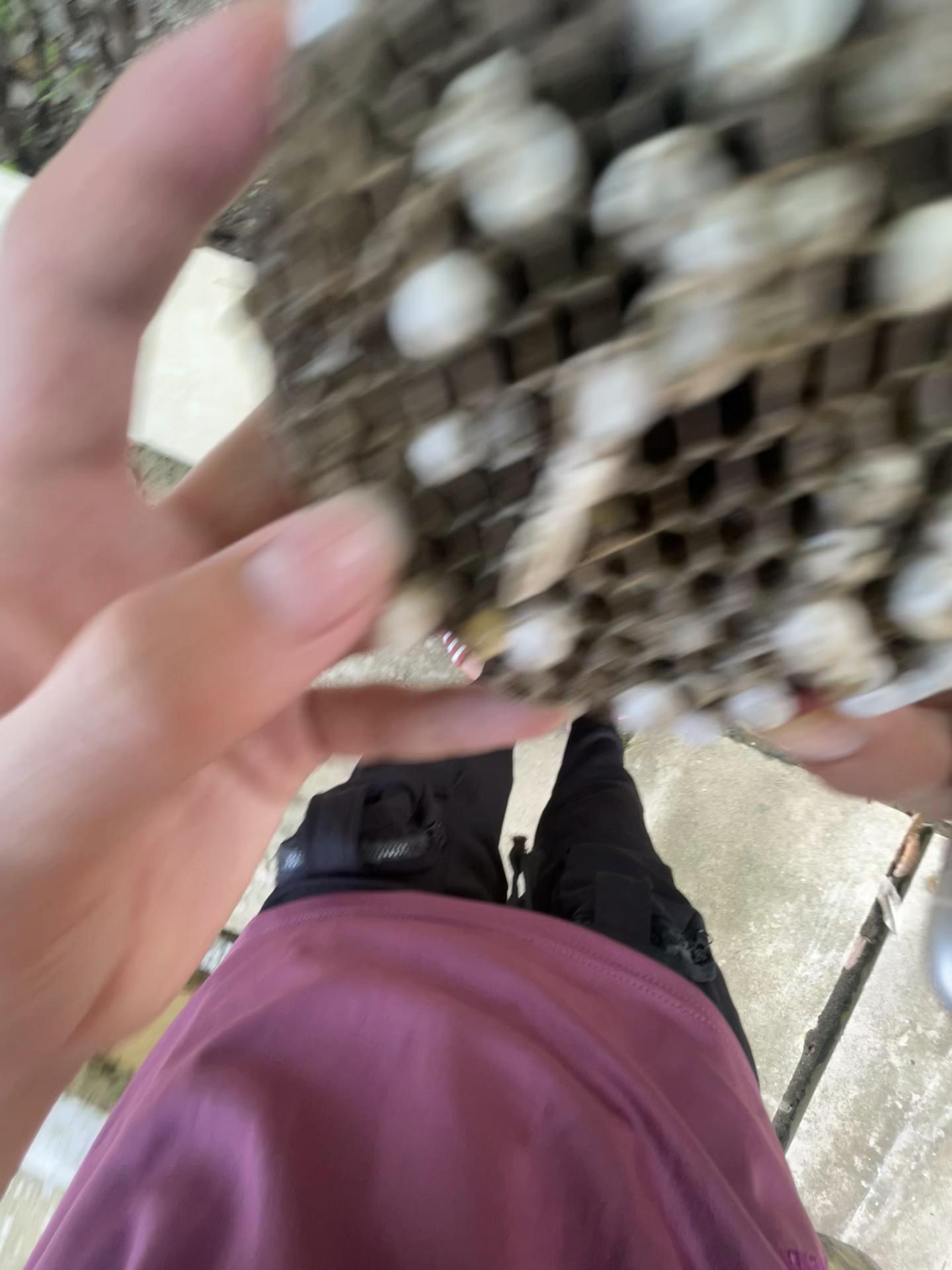 @Tiến Lợi 🥰