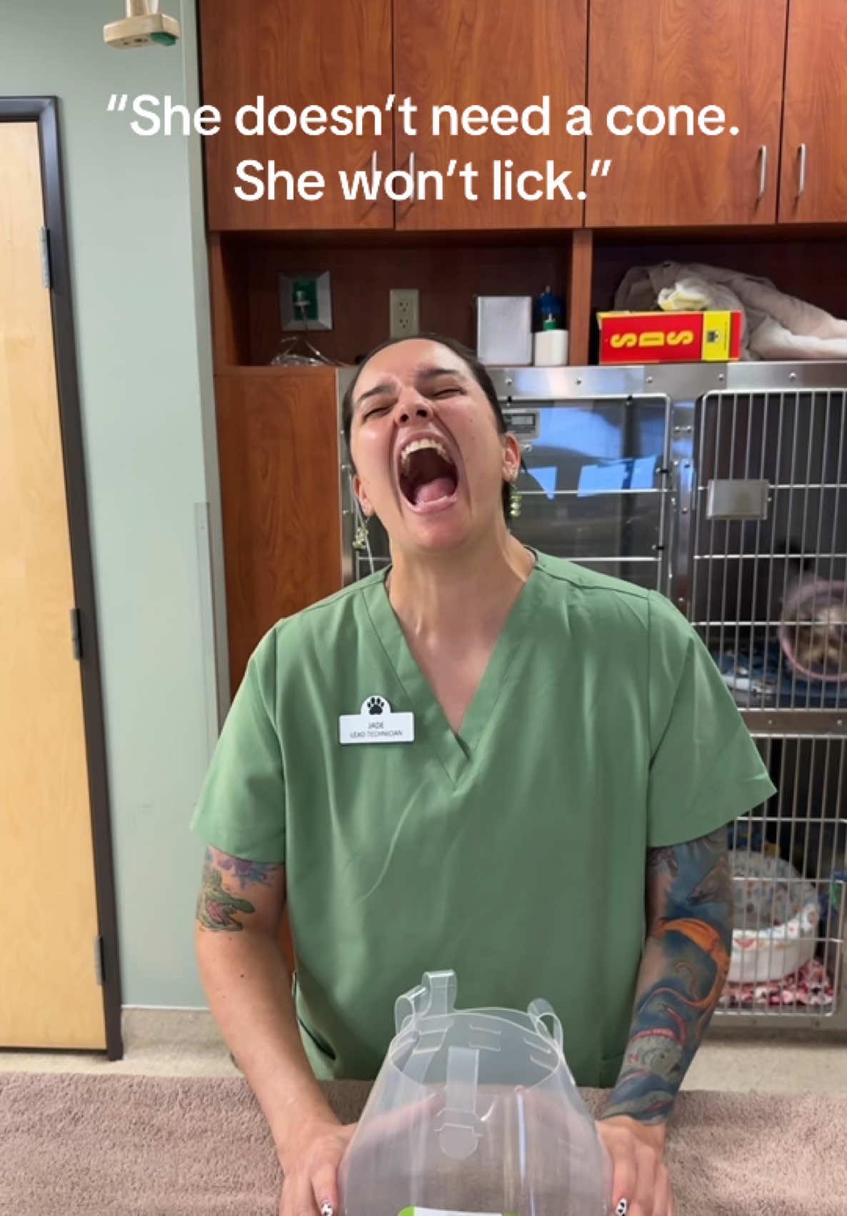 @Dreaming Summit Animal Hosp