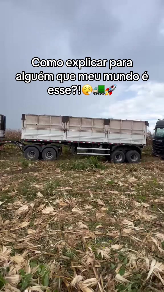 @Laura Teles