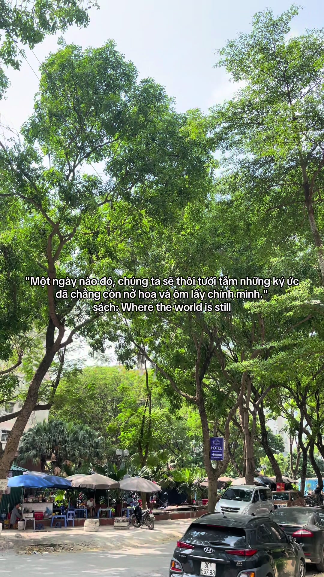 @Reels của T&igrave;nh 🫧