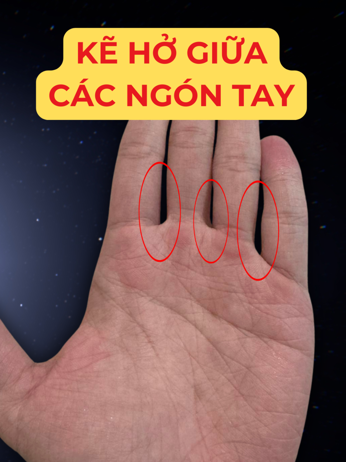 @Học Xem Chỉ Tay