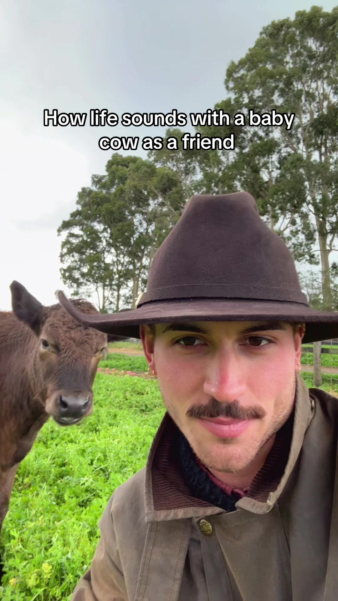 @Liam 🤠