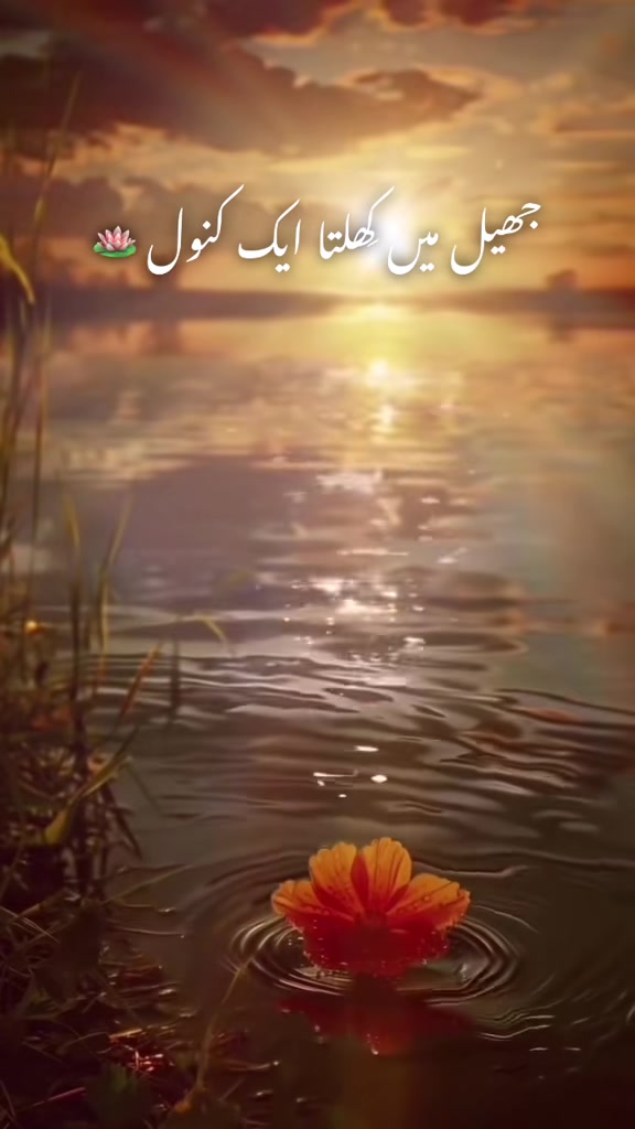 @DIL E NADAN